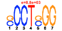 htmls/cluster0002_pssm1.png