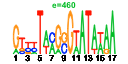htmls/cluster0010_pssm2.png