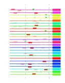 htmls/cluster0021_mot_posns.png