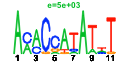 htmls/cluster0031_pssm2.png