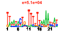 htmls/cluster0041_pssm1.png