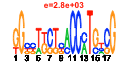 htmls/cluster0048_pssm1.png