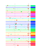 htmls/cluster0061_mot_posns.png