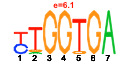 htmls/cluster0061_pssm1.png