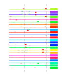 htmls/cluster0063_mot_posns.png
