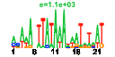 htmls/cluster0064_pssm2.png