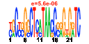 htmls/cluster0072_pssm1.png