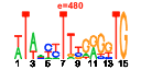 htmls/cluster0076_pssm1.png