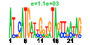 htmls/cluster0077_pssm2.png