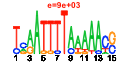 htmls/cluster0088_pssm1.png