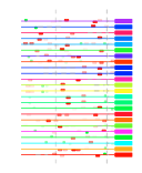 htmls/cluster0089_mot_posns.png