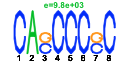 htmls/cluster0090_pssm2.png