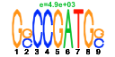 htmls/cluster0091_pssm2.png