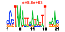 htmls/cluster0092_pssm1.png