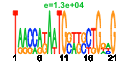 htmls/cluster0098_pssm2.png
