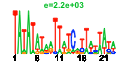 htmls/cluster0105_pssm2.png