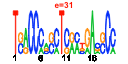 htmls/cluster0117_pssm1.png