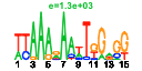 htmls/cluster0121_pssm2.png