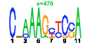 htmls/cluster0136_pssm2.png