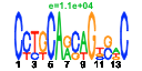 htmls/cluster0137_pssm2.png