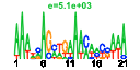 htmls/cluster0141_pssm2.png