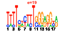 htmls/cluster0144_pssm1.png