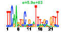 htmls/cluster0146_pssm2.png