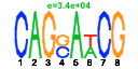 htmls/cluster0147_pssm2.png