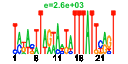 htmls/cluster0150_pssm2.png