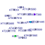 htmls/cluster332_network.png