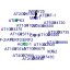htmls/cluster384_network.png