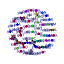 htmls/cluster013_network.png
