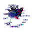 htmls/cluster081_network.png