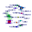 htmls/cluster219_network.png