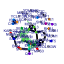 htmls/cluster283_network.png
