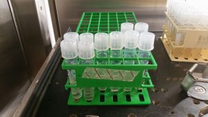 Incubator samples