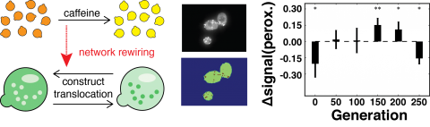 Adaptive Prediction - Baliga Lab